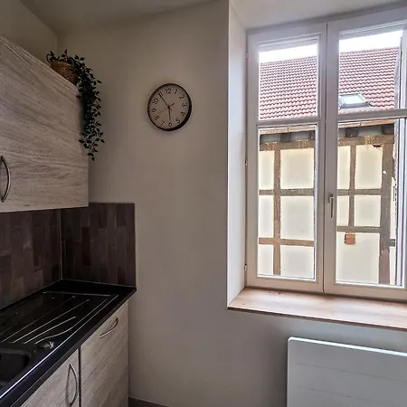 Apartment - T3 Au Coeur De L'alsace